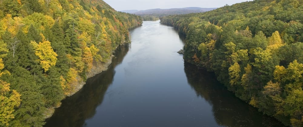 kevin loewen Connecticut Trees Show Signs of Strain
