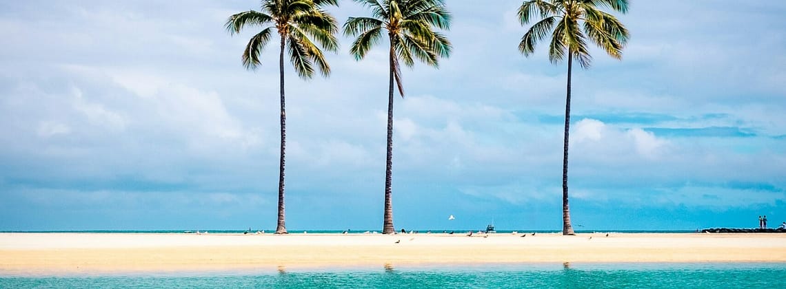 Kevin Loewen Hawaii