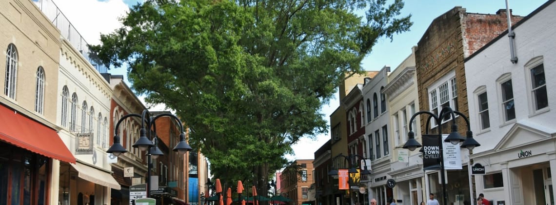 kevin loewen Charlottesville Begins Urban Forest Restoration Work