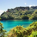 kevin loewen Urban Trees Are Essential Climate Infrastructure in Hawaiʻi