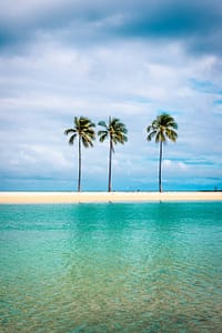 Kevin Loewen Hawaii