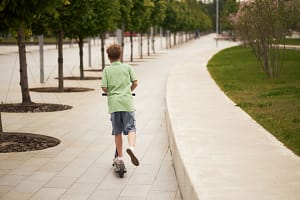 kevin loewen Urban Trees Need Smarter Planting